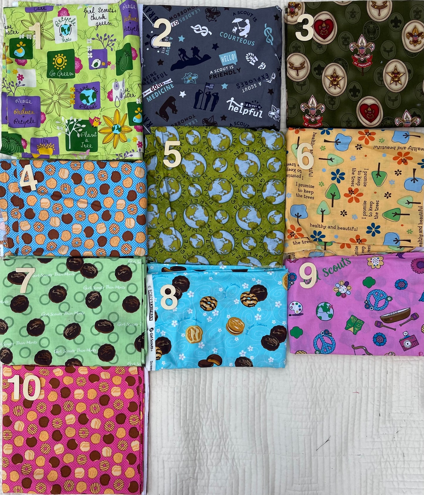 Girl Scout Diaper/Tote Bag