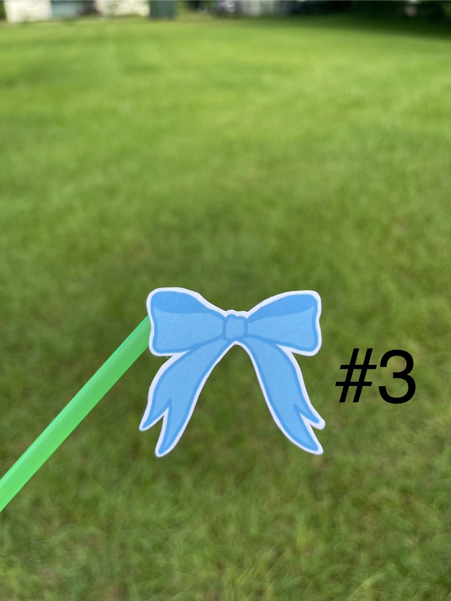 Variety of Bows Coastal Cowgirl Aesthetic Stickers