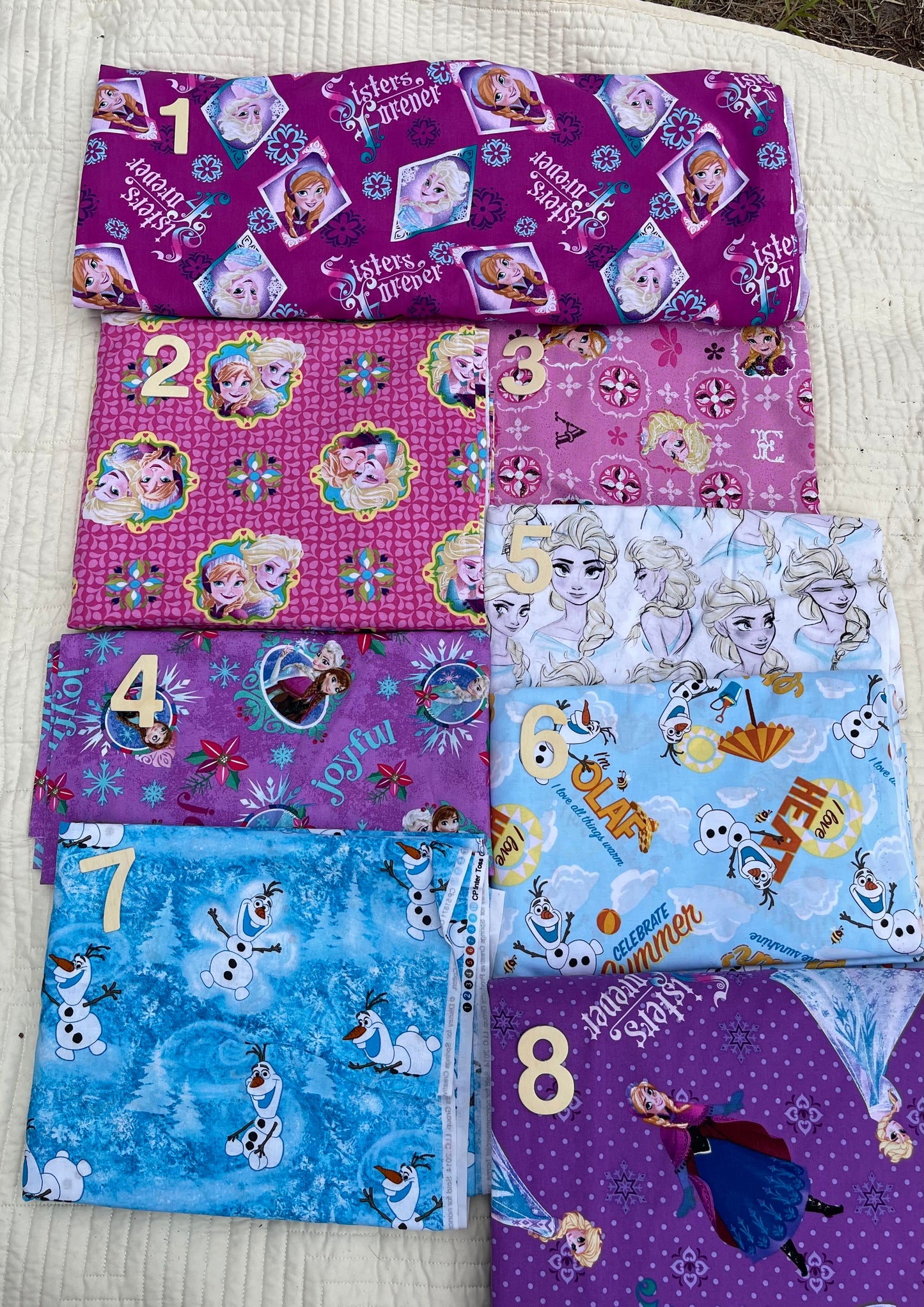 Frozen Diaper/Tote Bag