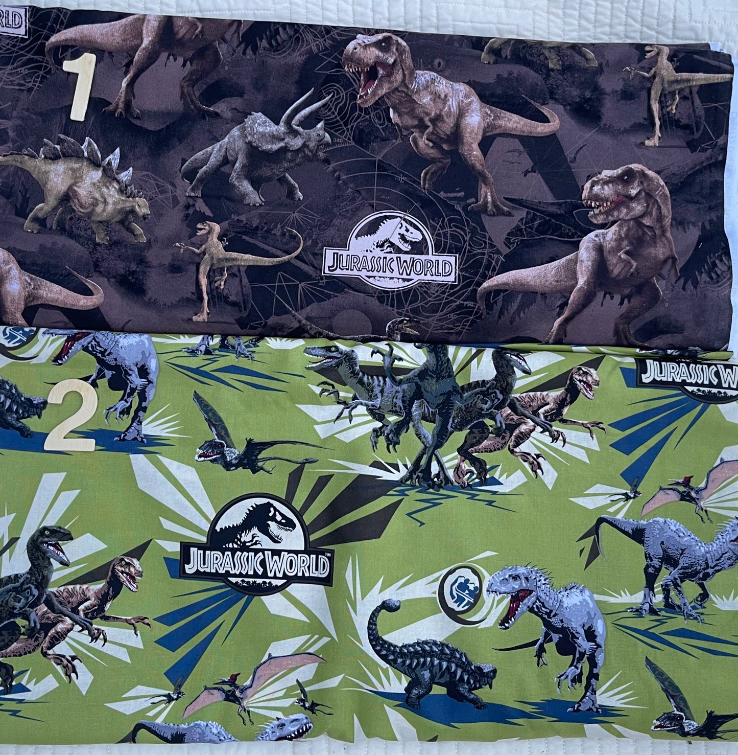 Jurassic Park Diaper/Tote Bag