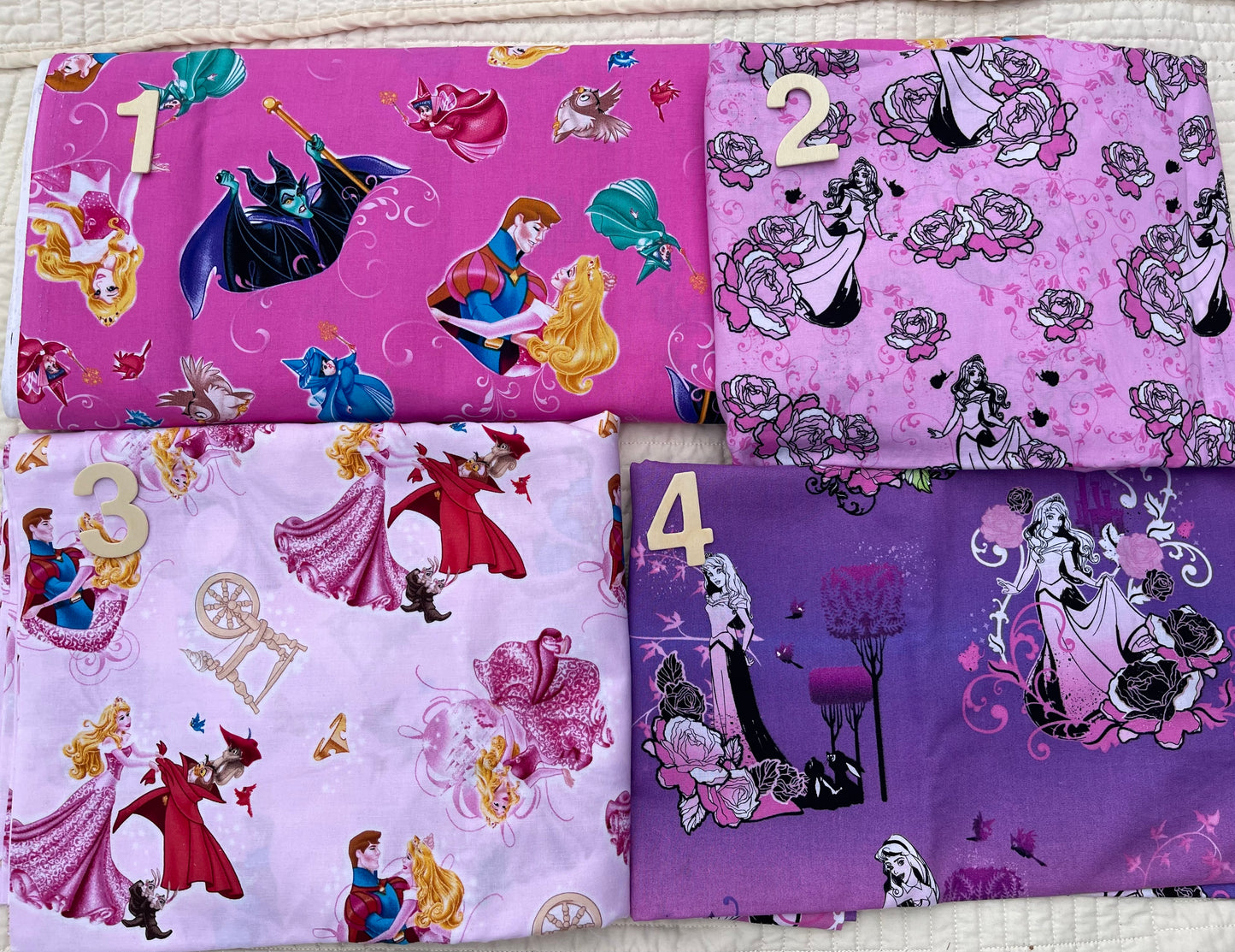 Sleeping Beauty Diaper/Tote Bag
